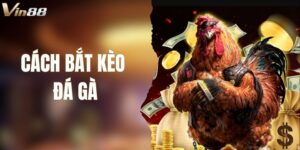 Cách Bắt Kèo Đá Gà Chuẩn Xác Cho Tất Cả Người Chơi Tại VIN88