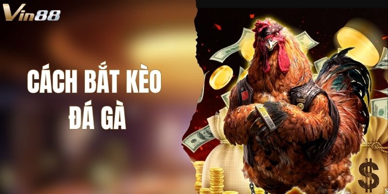 Cách Bắt Kèo Đá Gà Chuẩn Xác Cho Tất Cả Người Chơi Tại VIN88