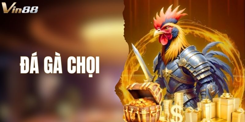 Đá Gà Chọi - Khám Phá Thông Tin Trước Khi Chơi Tại VIN88