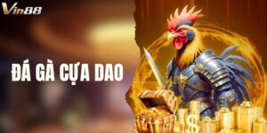 Đá Gà Cựa Dao - Game Giải Trí Được Yêu Thích Nhất Tại VIN88