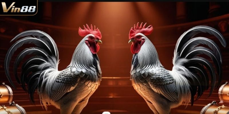 Những luật chơi cơ bản cần nắm