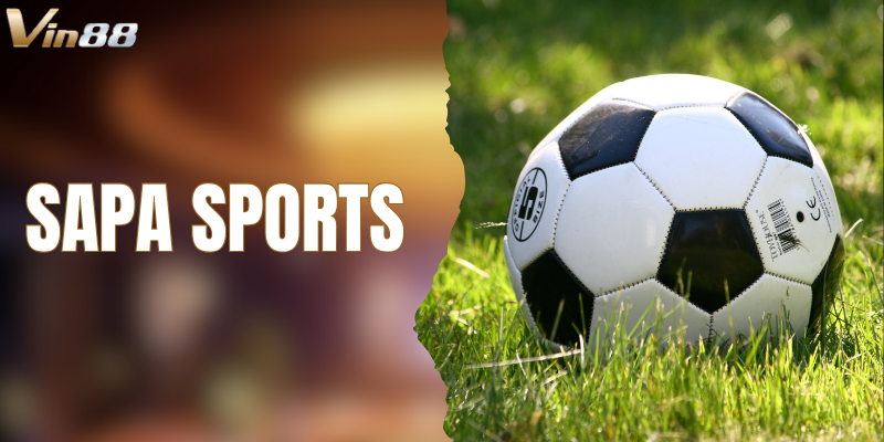 Khám Phá Sảnh SAPA Sports Siêu Đỉnh Cho Anh Em VIN88